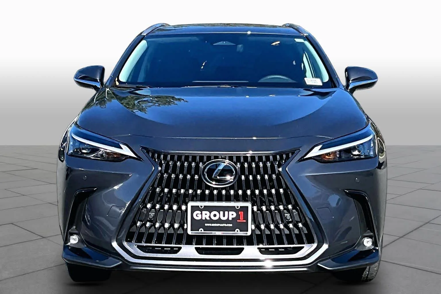 New 2026 Cloudburst Gray Lexus PREMIUM image 3