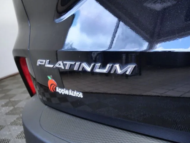 Used 2023 Black Ford Platinum image 9