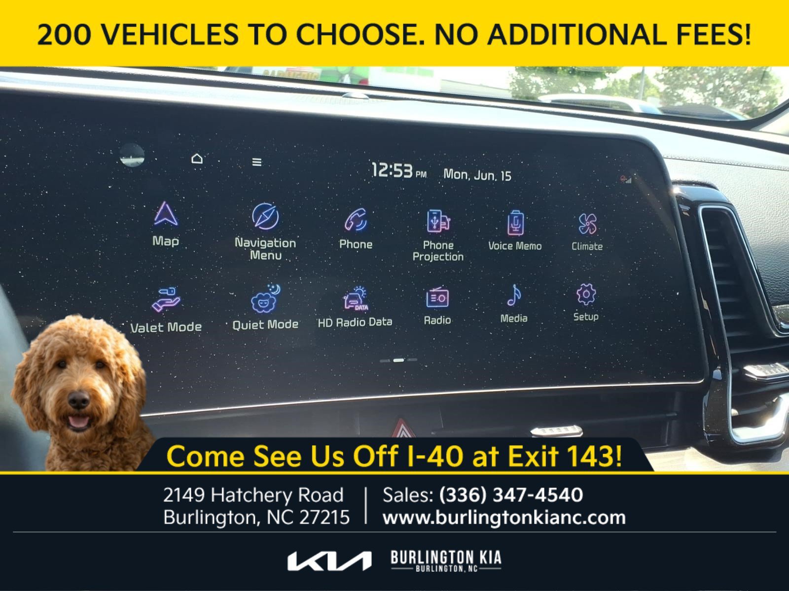 Certified Used 2024 Ebony Black Kia EX image 9