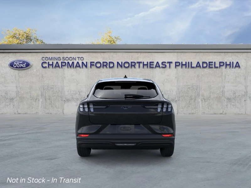 New 2026 Shadow Black Ford Premium image 5