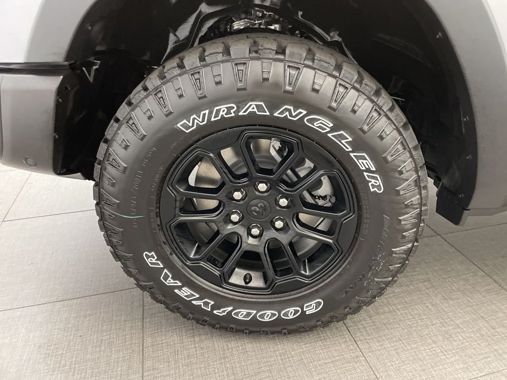 New 2026 Silver Zynith Exterior Paint RAM Rebel image 10