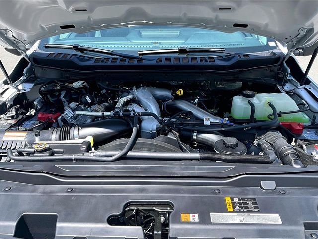 New 2026 Oxford White Ford XLT image 11