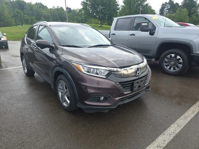 Used 2019 Purple Honda EX image 3