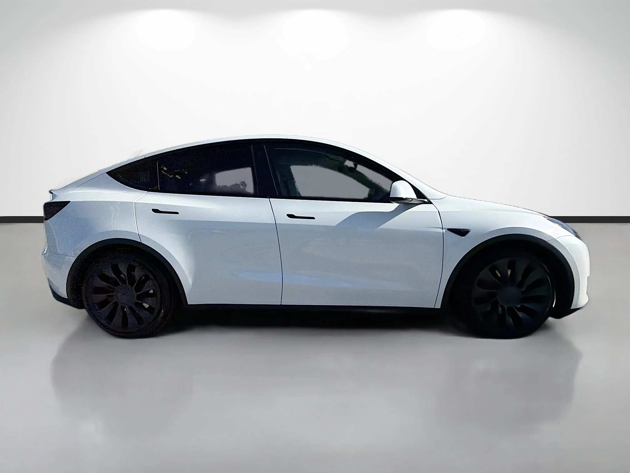 Used 2023 Tesla Model Y Performance with VIN 7SAYGDEF6PF751072 for sale in Tampa, FL