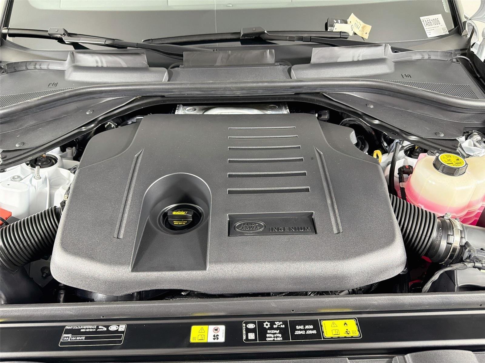 New 2026 Fuji White Land Rover Dynamic SE image 30