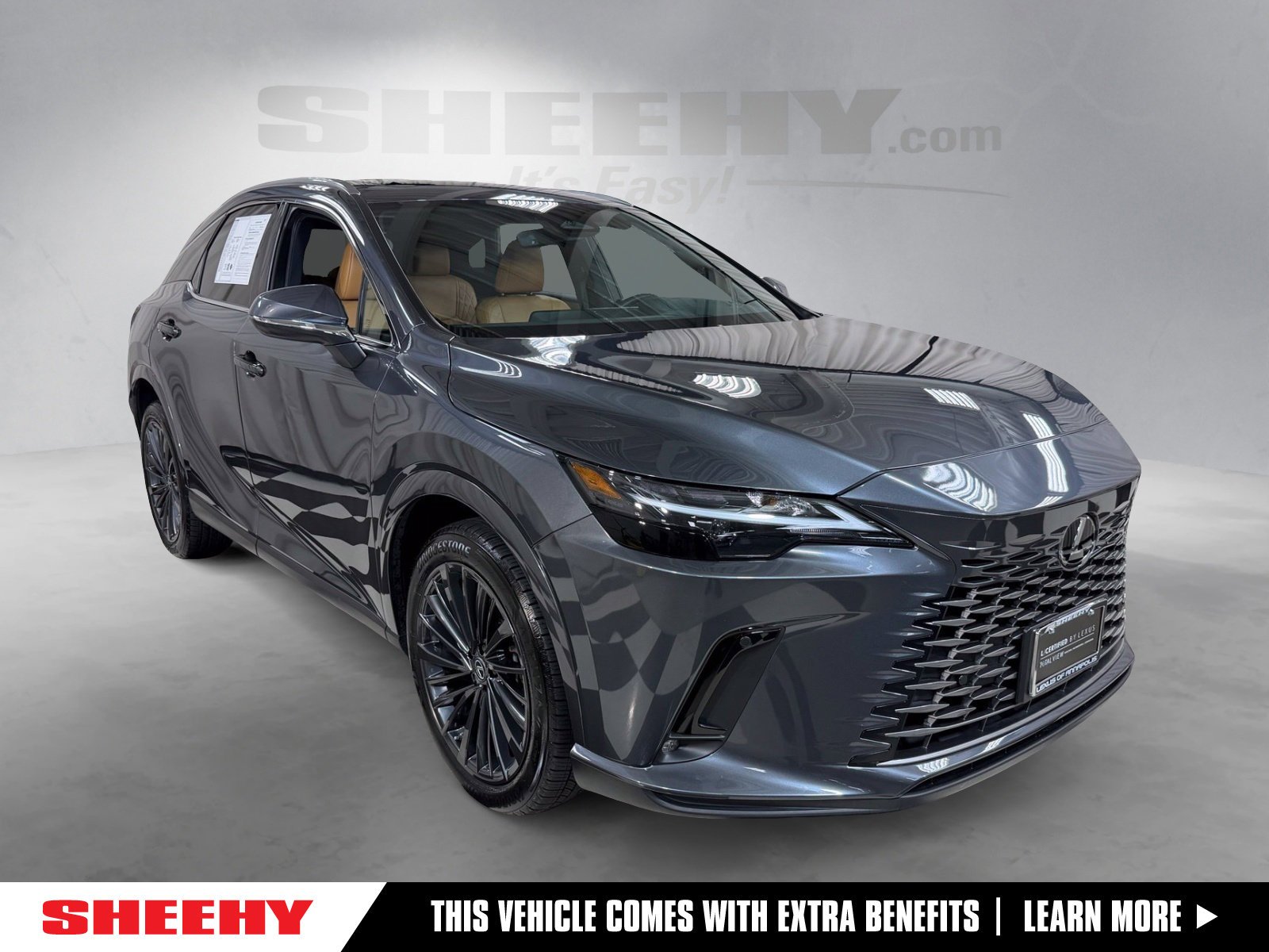 2025 Lexus RX Hybrid