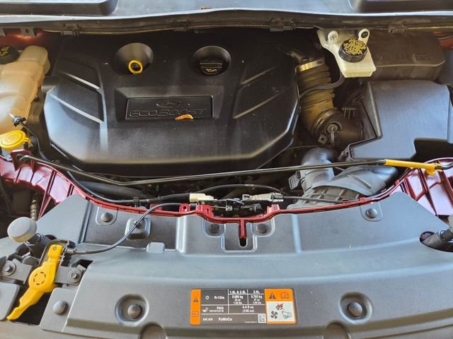 Used 2016 Orange Ford SE image 27