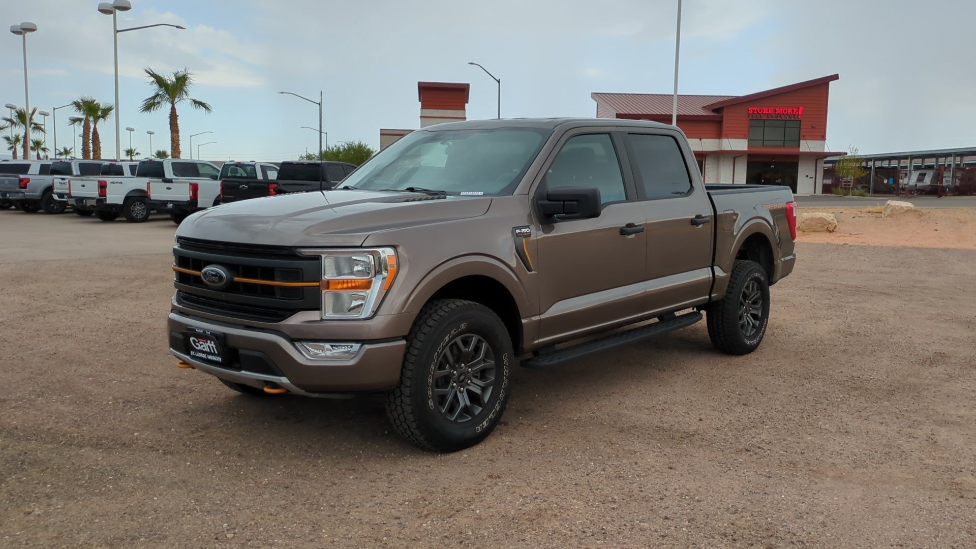 2022 Ford F-150 Tremor - Photo 8