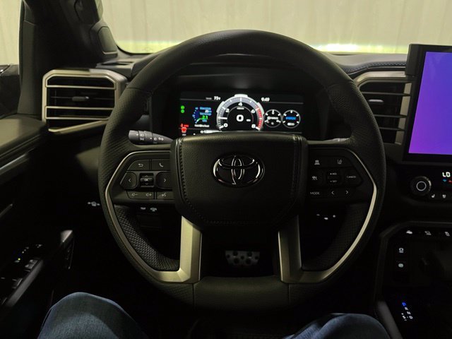 New 2026 Magnetic Gray Metallic Toyota  Platinum image 20