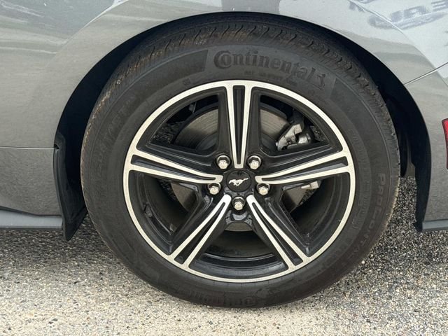 Used 2024 Gray Ford EcoBoost image 8