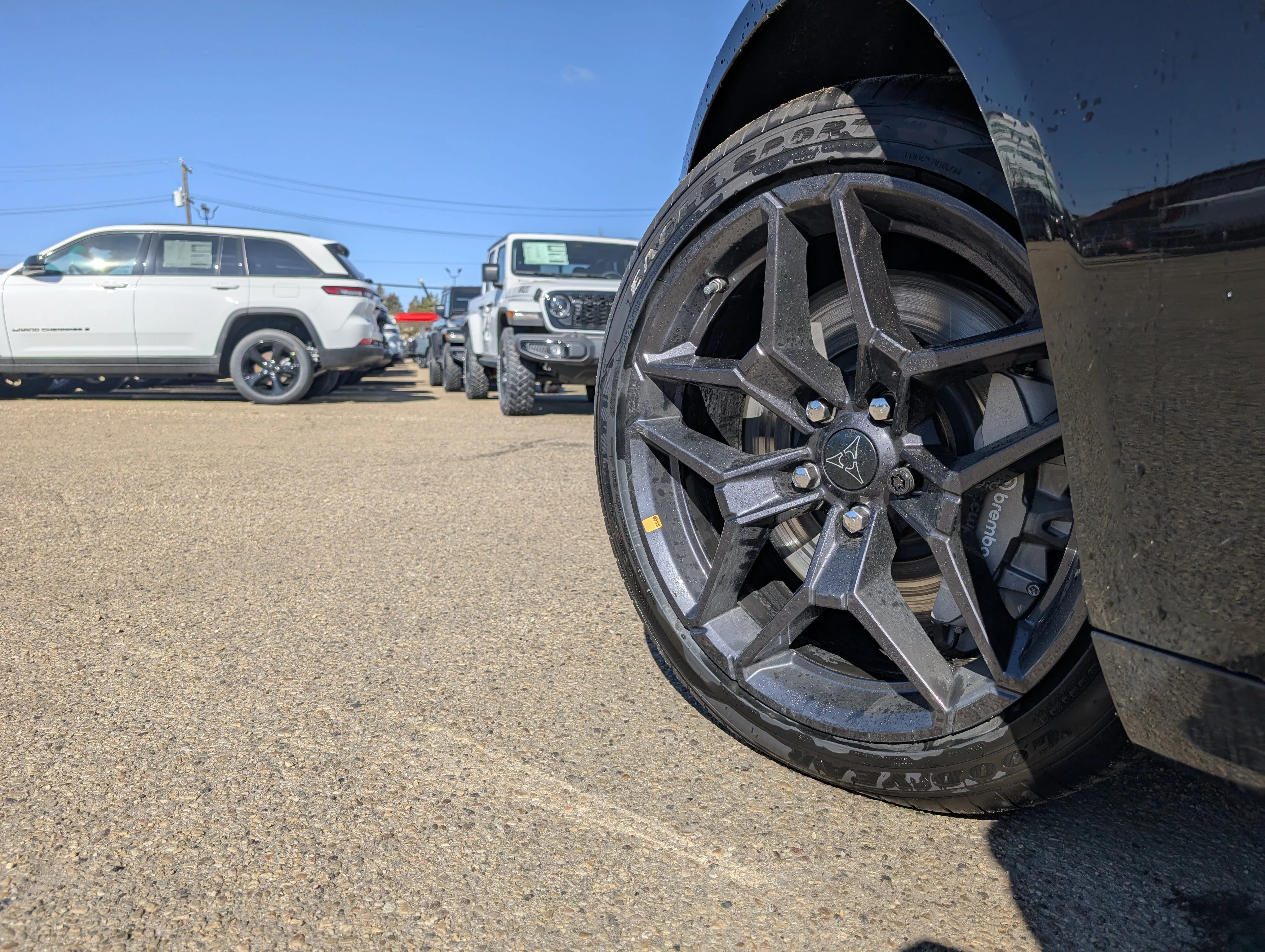 New 2026 Diamond Black Crystal Pearl Dodge Scat Pack image 12
