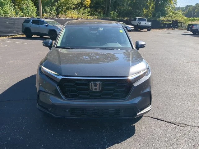 Used 2024 Meteorite Gray Metallic Honda EX-L image 4
