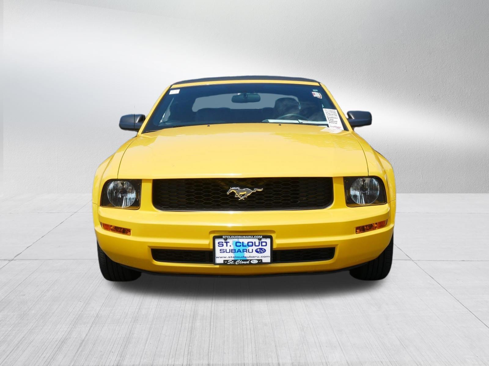 Used 2006 Ford Mustang Standard with VIN 1ZVHT84N165209674 for sale in Saint Cloud, Minnesota