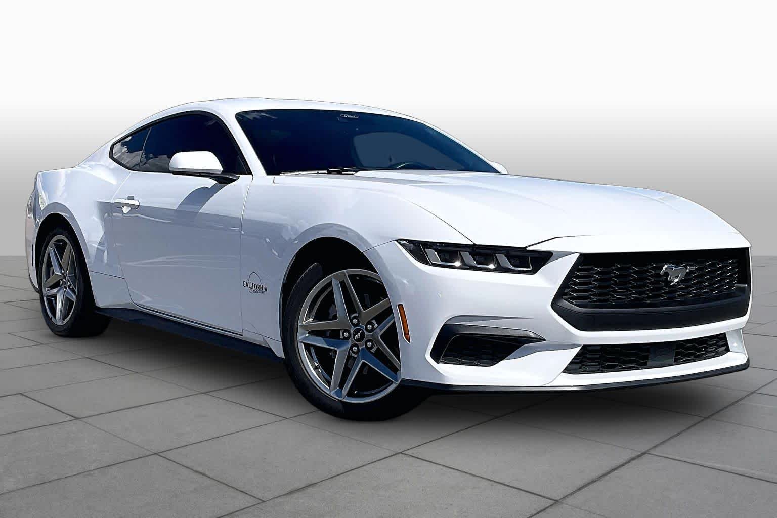 Used 2024 Oxford White Ford EcoBoost image 2