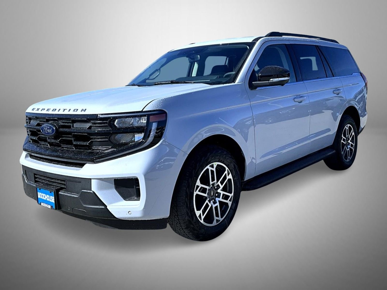 2026 Ford Expedition Active 4x4's photo