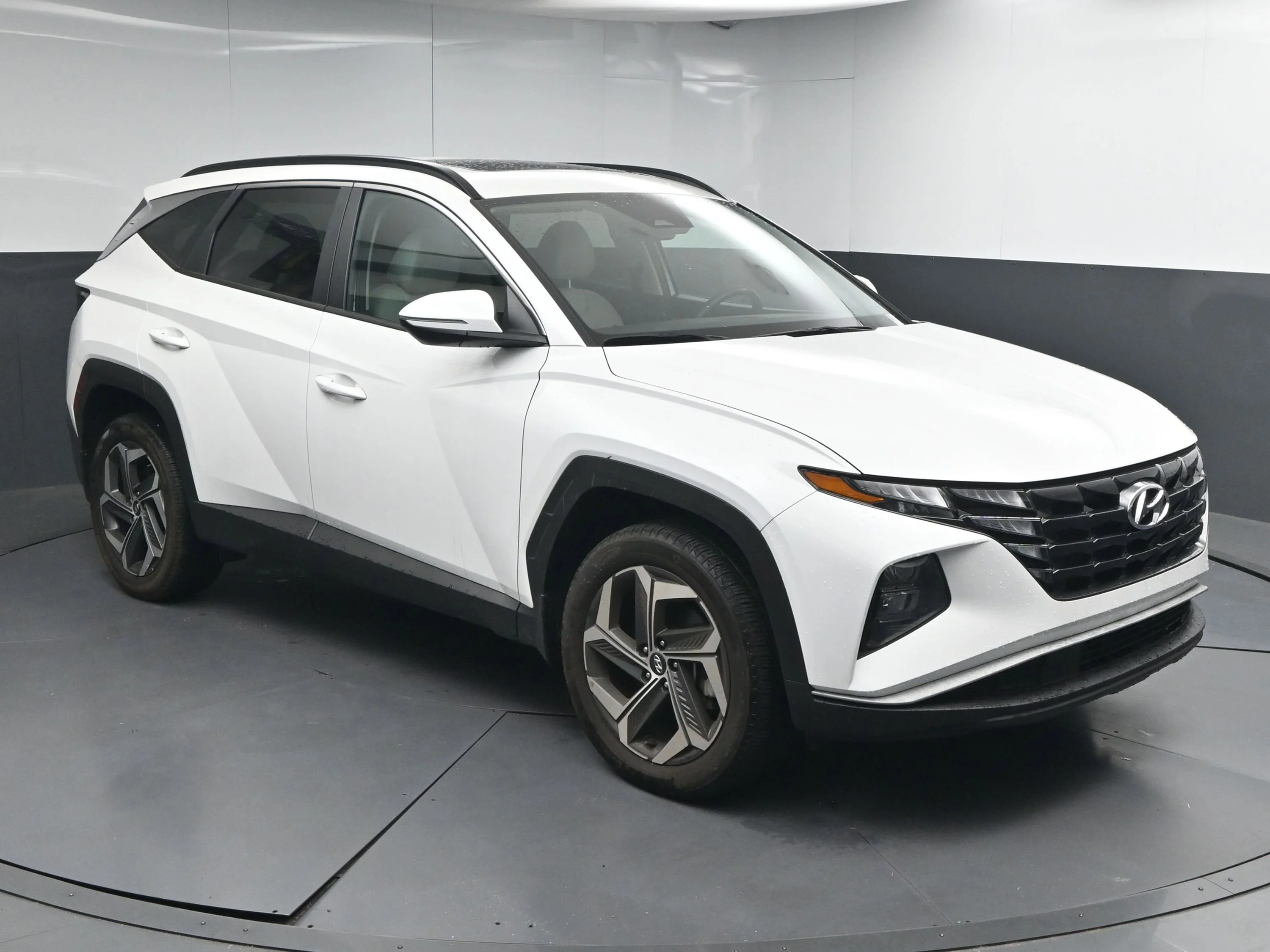 Used 2023 Serenity White Pearl Hyundai SEL image 1