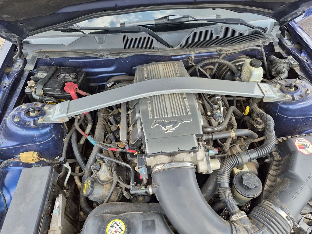 Used 2010  Ford GT Premium image 10