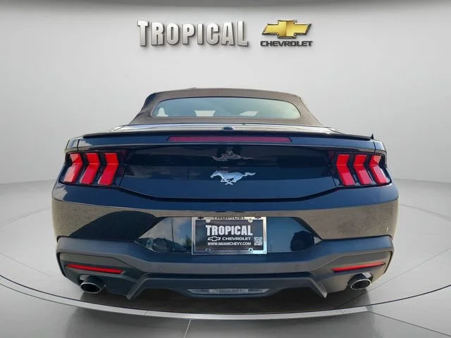 Used 2024 Black Ford EcoBoost image 4