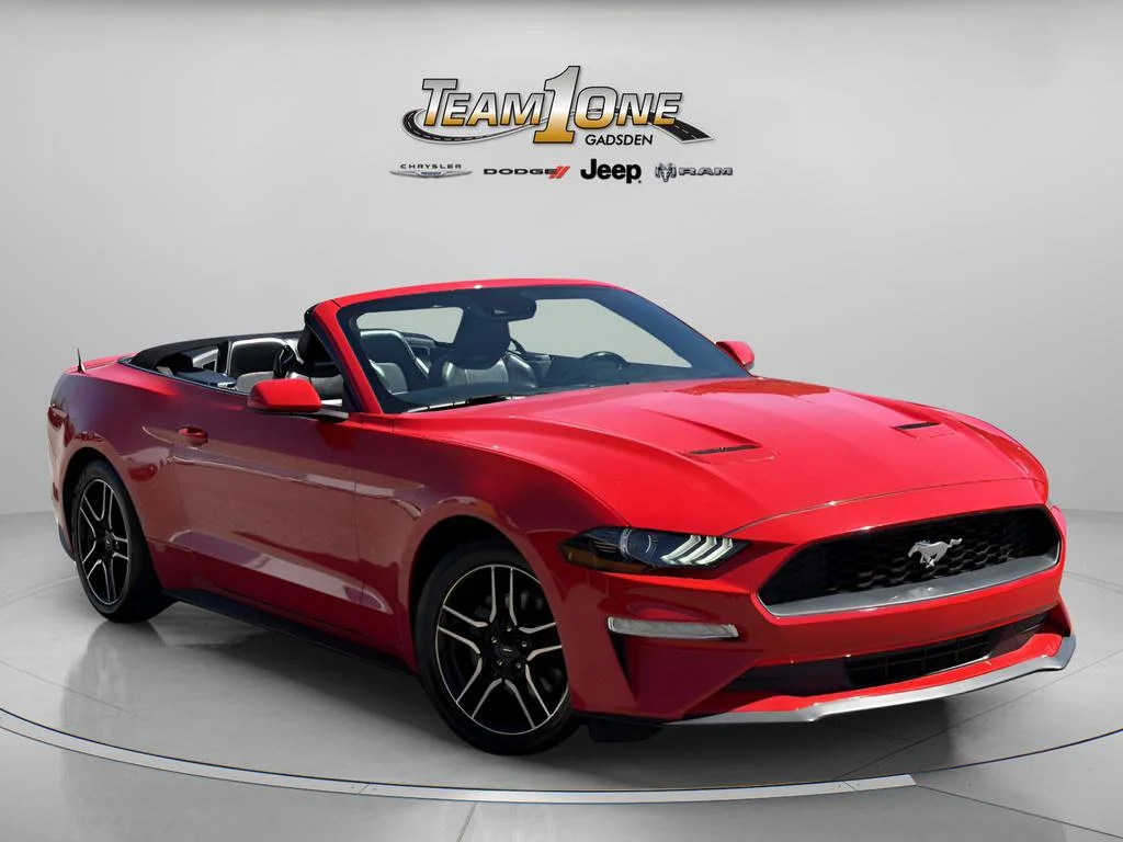 2023 Ford Mustang EcoBoost Premium Convertible's photo