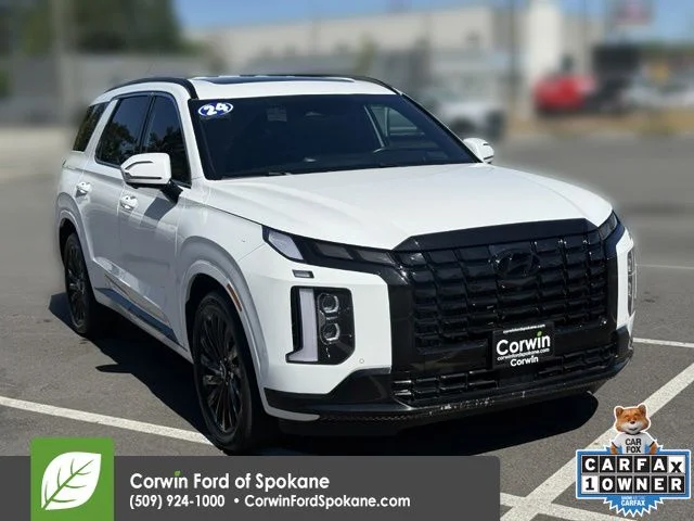 2024 Hyundai Palisade Calligraphy Night Edition AWD's photo