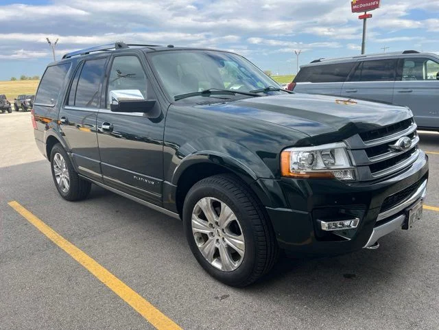 2015 Ford Expedition's photo