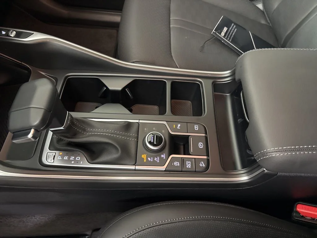 New 2026 Panthera Metal Kia S image 33
