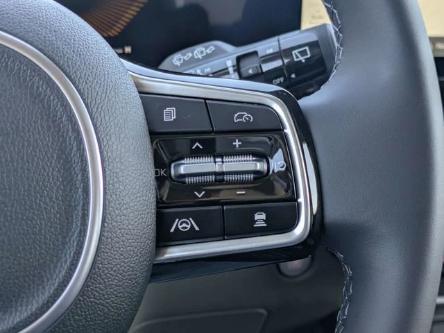New 2026 Panthera Metal Kia LXS image 28