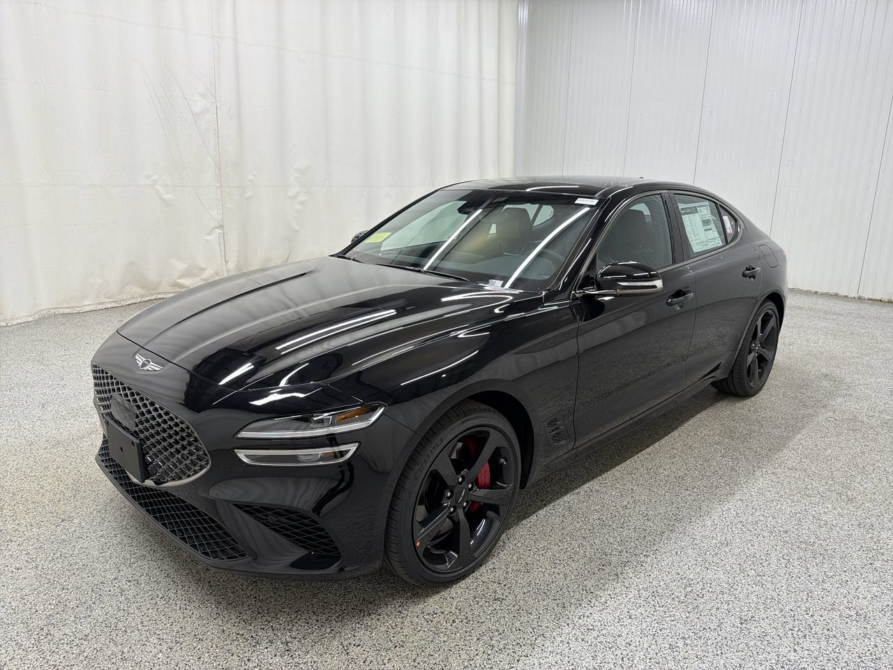 New 2027 Vik Black Genesis Standard image 4