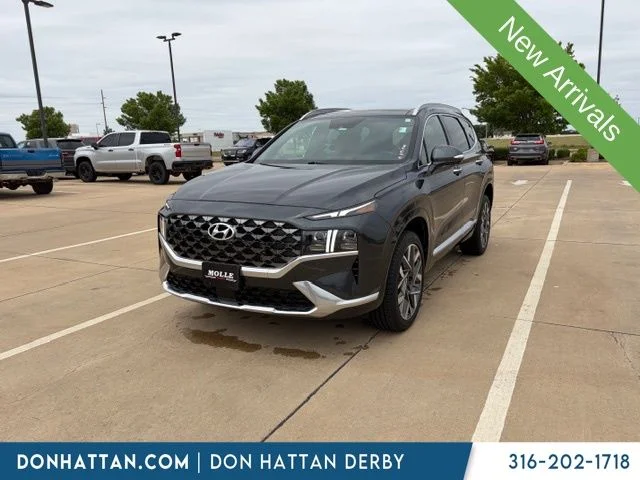 2023 Hyundai Santa Fe Calligraphy 2.5 AWD's photo