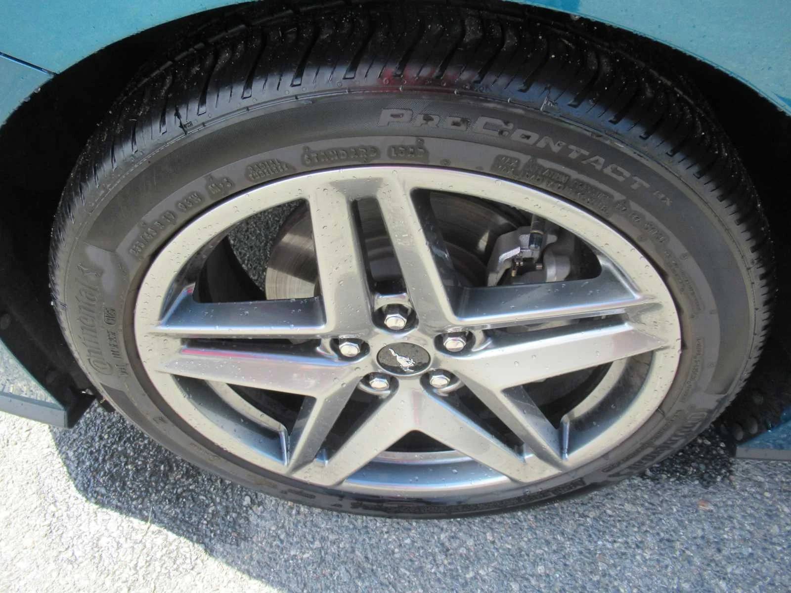 Used 2026 Adriatic Blue Ford EcoBoost image 11