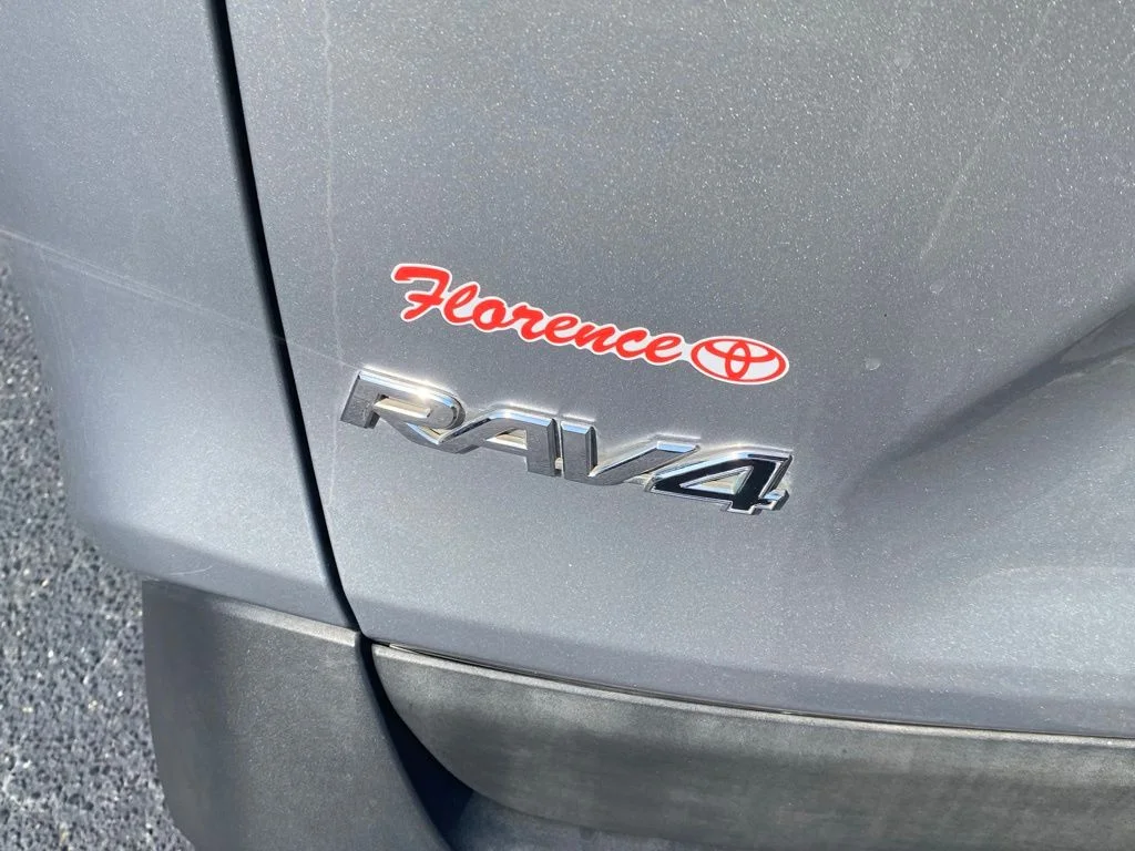 Used 2020 Silver Toyota XLE Premium image 14