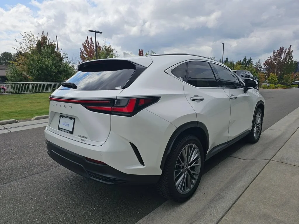 Used 2024  Lexus NX 350 Luxury image 7