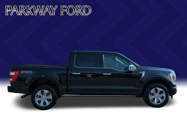 Used 2023 Black Ford Platinum image 6