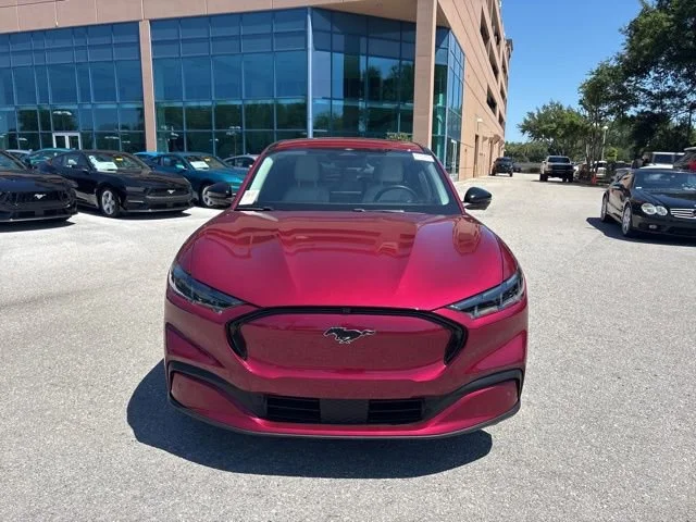 Used 2025 Ford Mustang Mach-E Premium AWD with VIN 3FMTK3SU7SMA01022 for sale in Tampa, FL