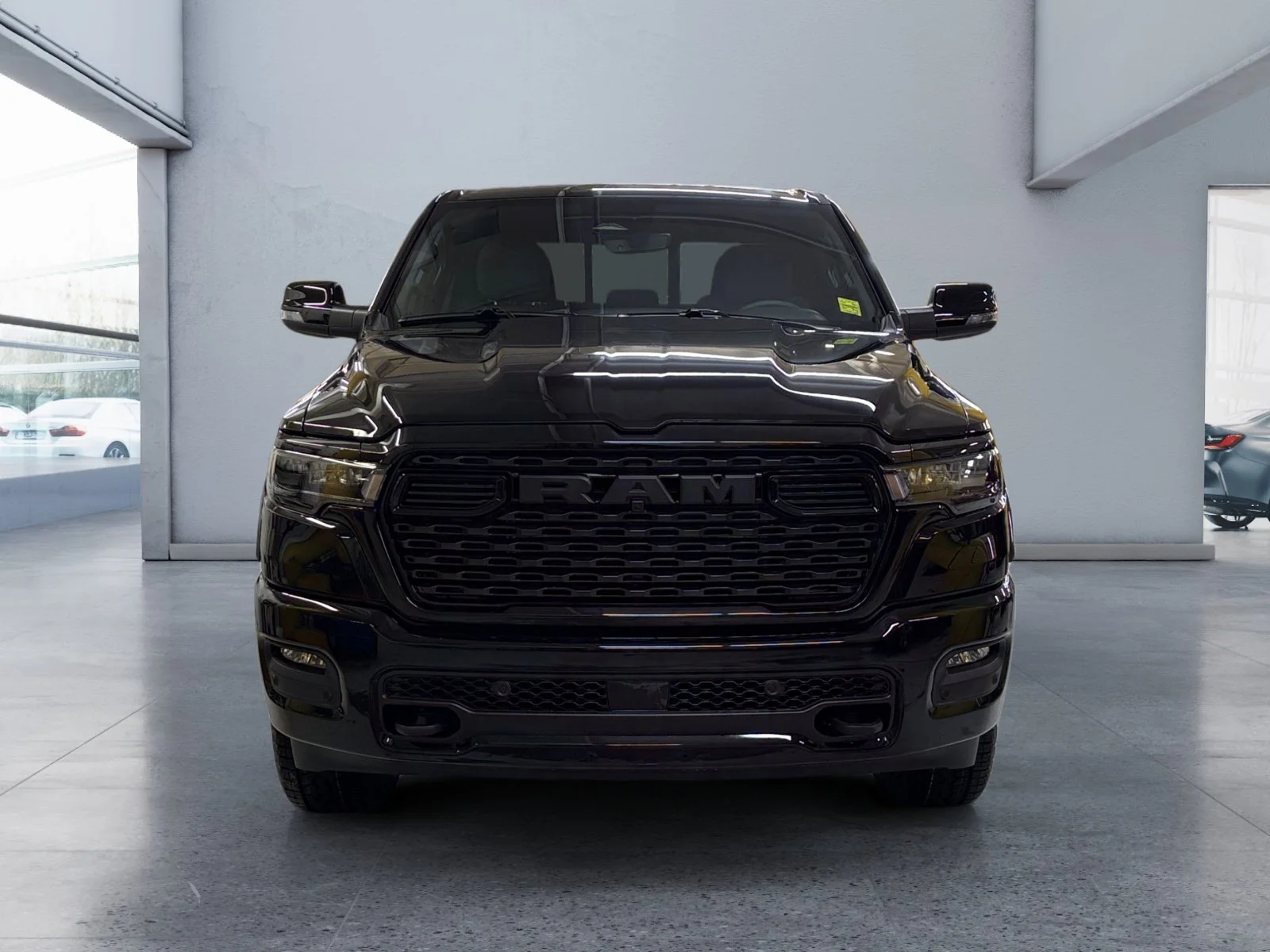New 2027 Diamond Black Crystal Pearl Ram Big Horn image 8