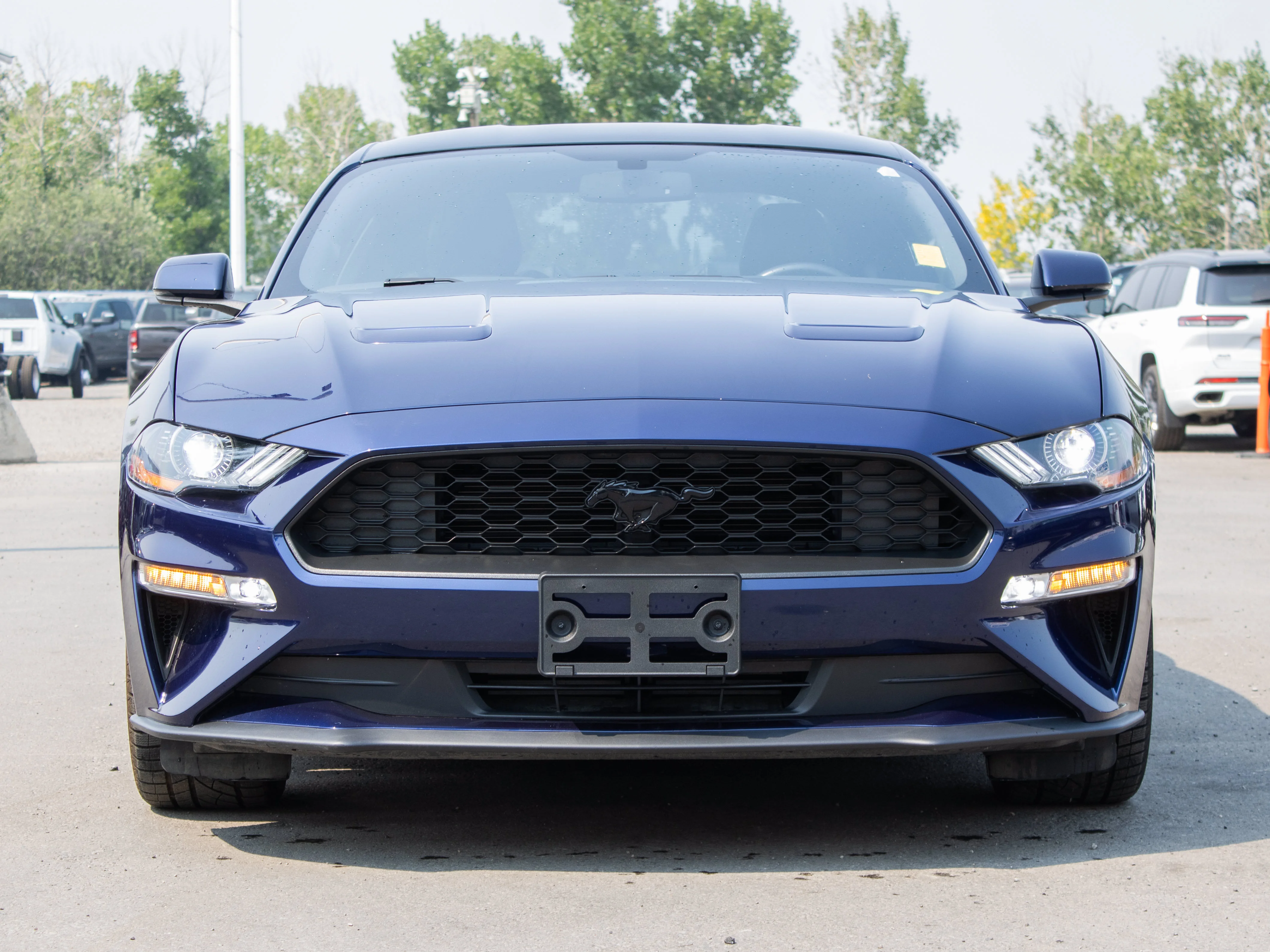 Certified Used 2020 Blue Ford EcoBoost Premium * No Accidents | 3M PPF | Heated/Cooled Seats | Backup Camera | Apple CarPlay image 10