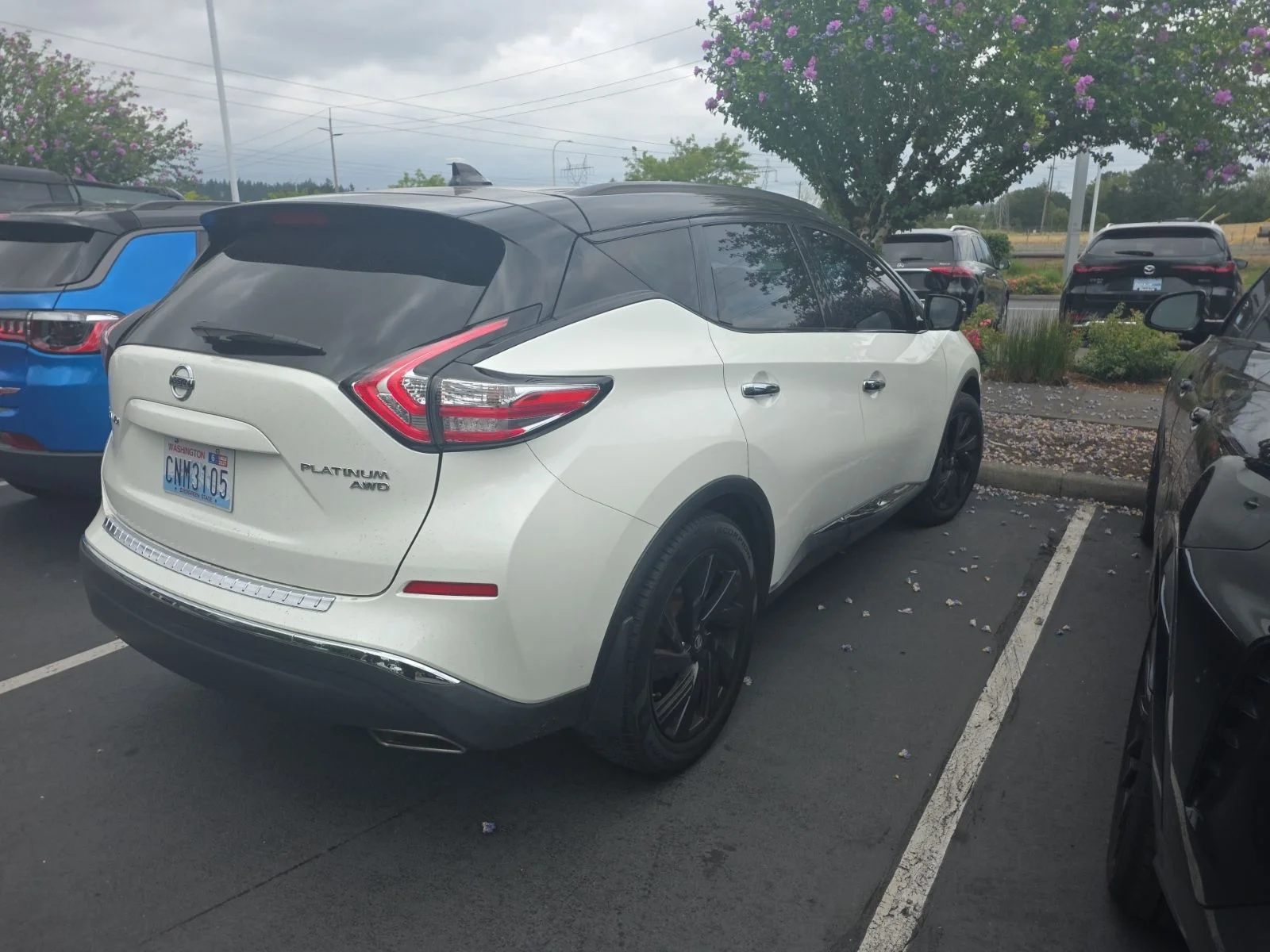 Used 2017 Pearl White Nissan Platinum image 3