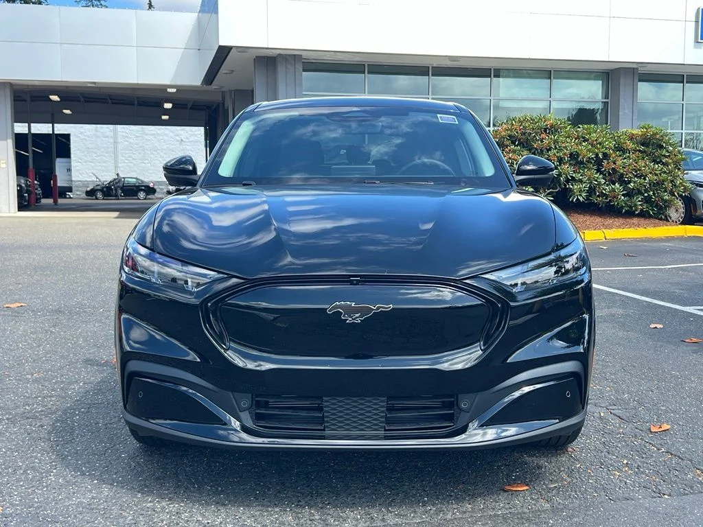 New 2026 Shadow Black Ford Premium image 4