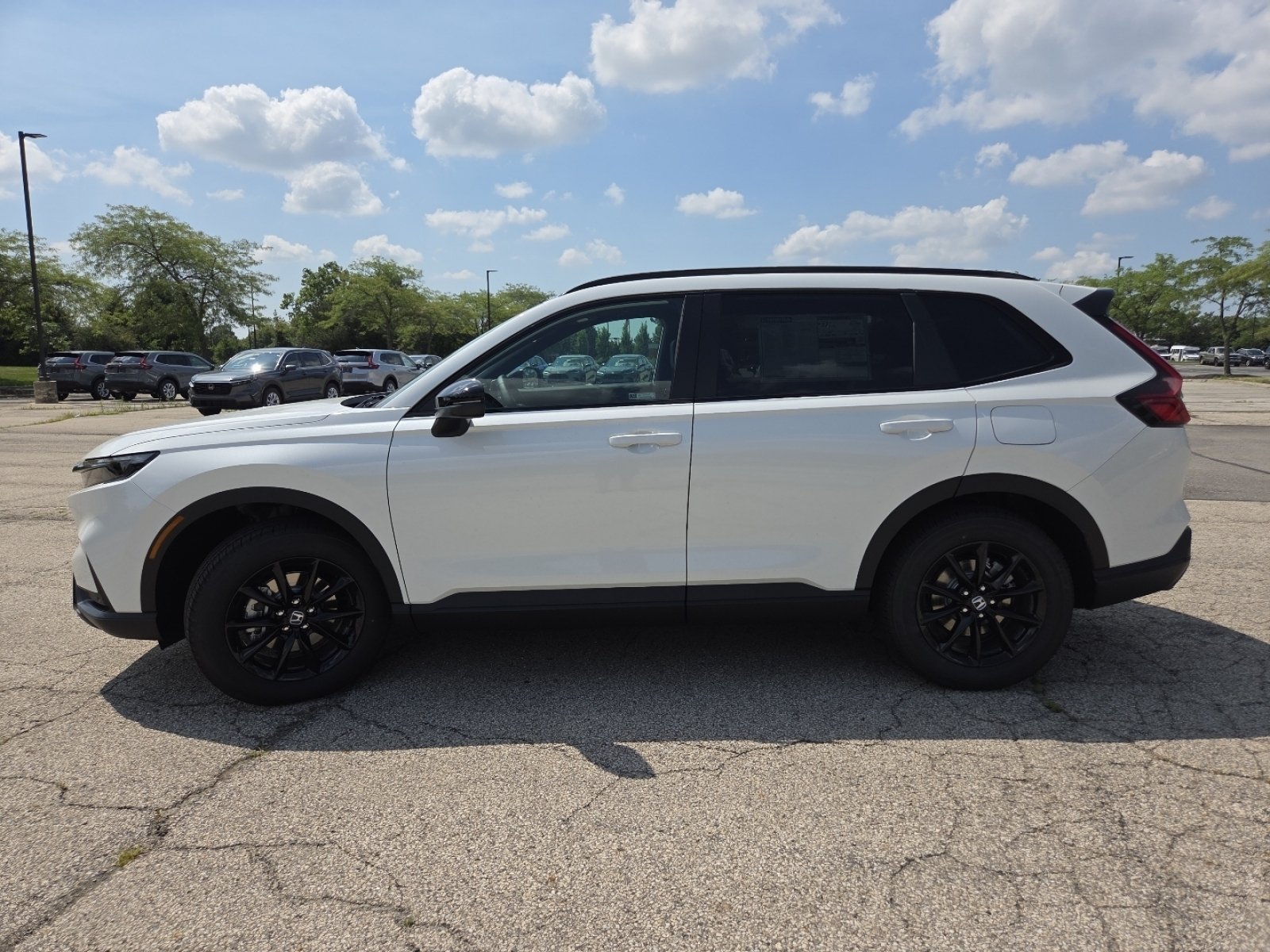 New 2026 Platinum White Pearl Honda Sport-L image 18