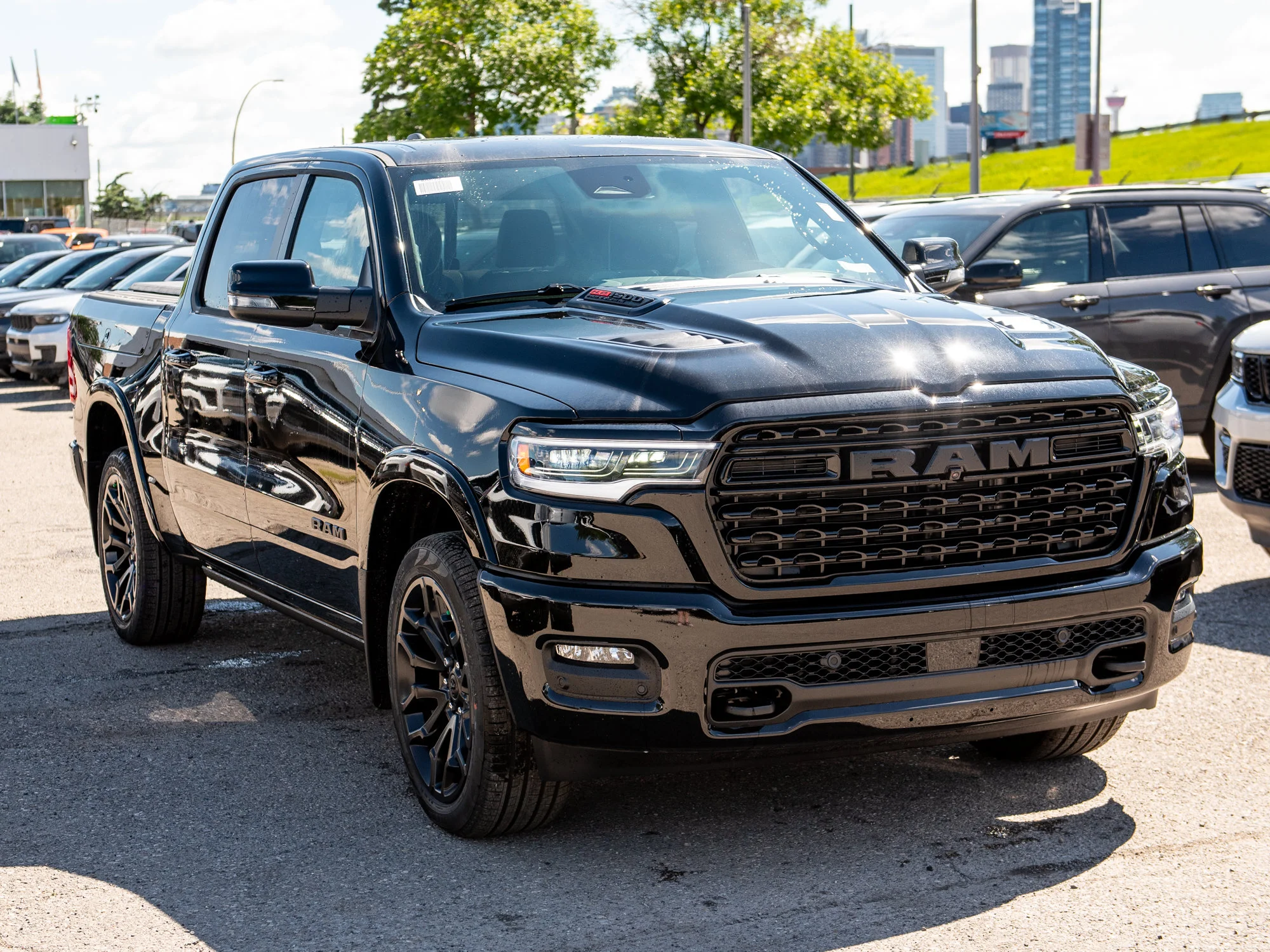New 2026 Black RAM Limited* image 9