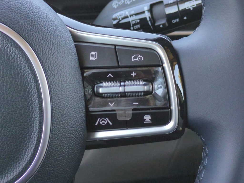 New 2026 Panthera Metal Kia EX image 31