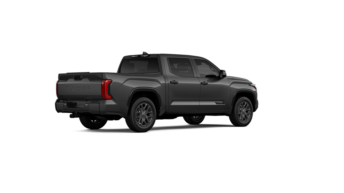 New 2026 Magnetic Gray Metallic Toyota Platinum image 40