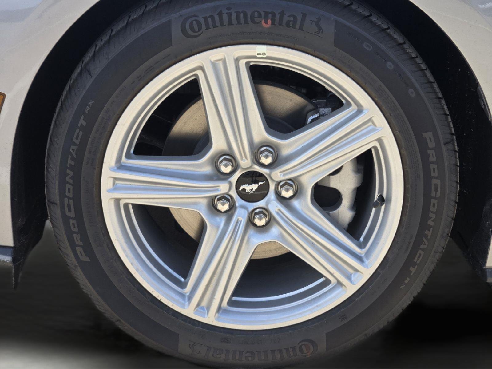 New 2026 Iconic Silver Ford EcoBoost image 7