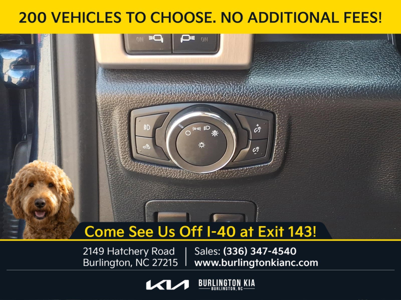 Used 2020 Blue Ford Platinum image 18