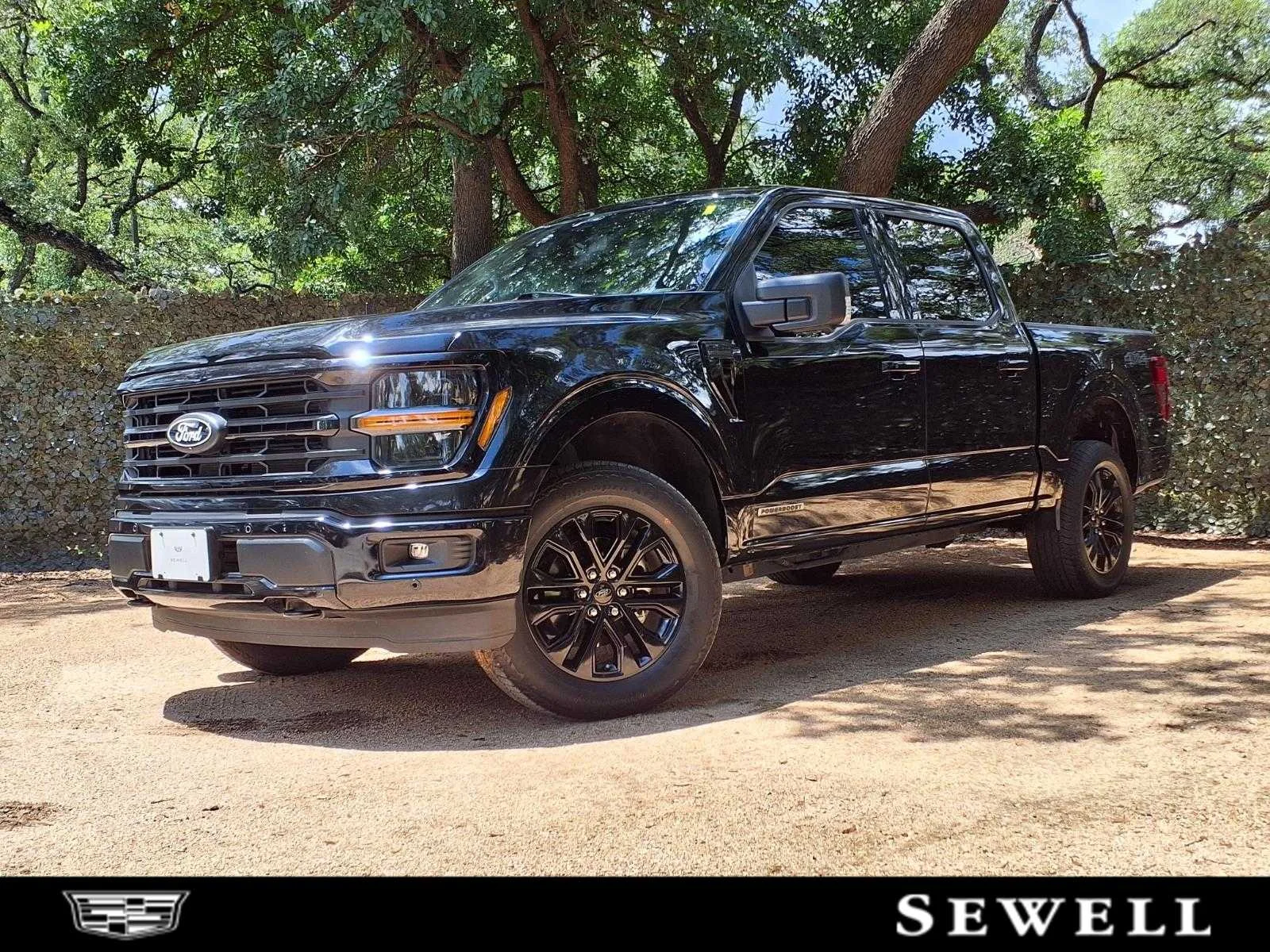 Used 2024  Ford XLT image 1