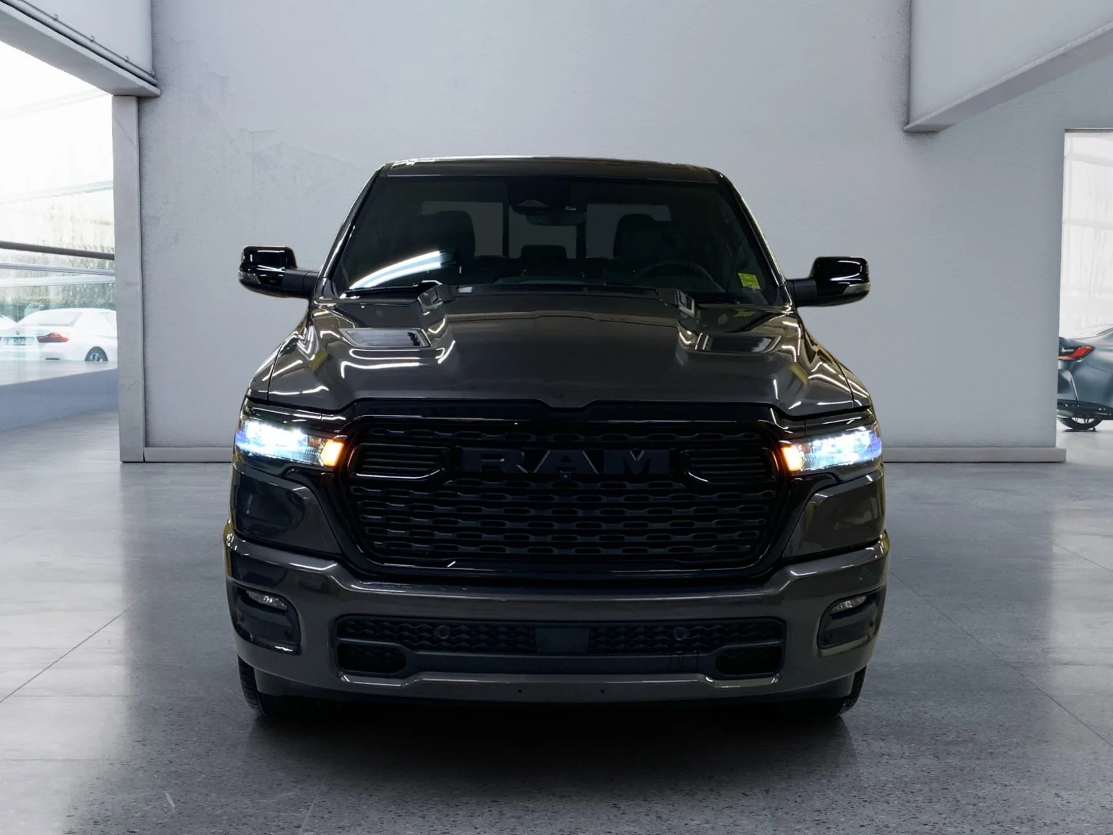 New 2026 Granite Crystal Metallic Ram Sport image 8