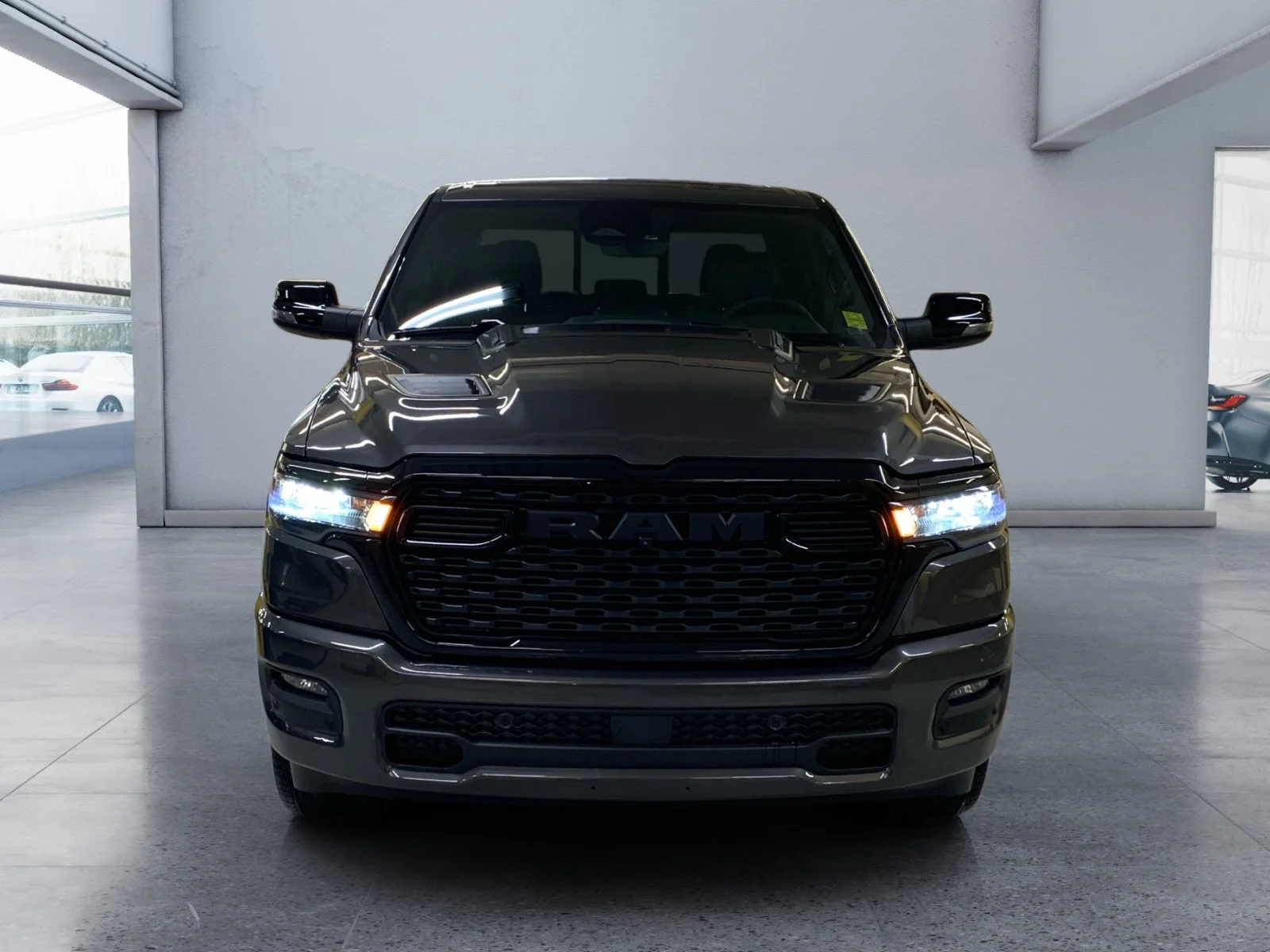 New 2026 Granite Crystal Metallic Ram Sport image 8