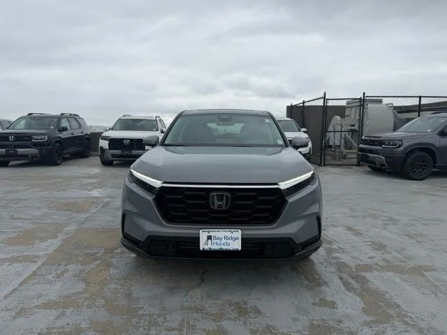 Used 2024 Gray Honda EX-L image 2