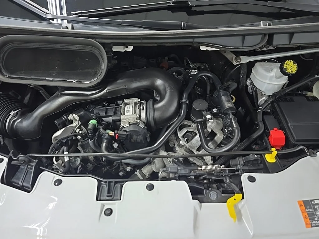Used 2025 White Ford Base image 14
