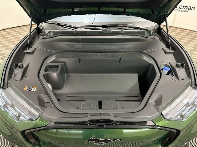 New 2026 Eruption Green Metallic Ford Premium image 32
